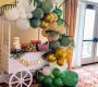 baby-cart-decor-rental-toronto-1